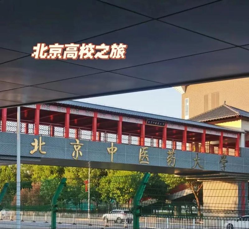 慢性病调理：寻找健康的钥匙